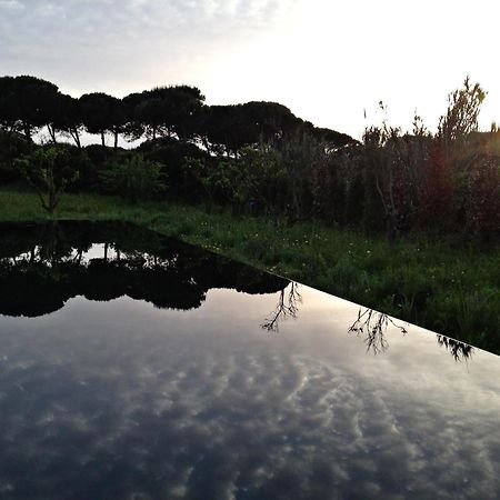 アルデイア・ド・メコ Quinta Do Miguelヴィラ エクステリア 写真