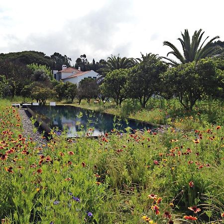 アルデイア・ド・メコ Quinta Do Miguelヴィラ エクステリア 写真