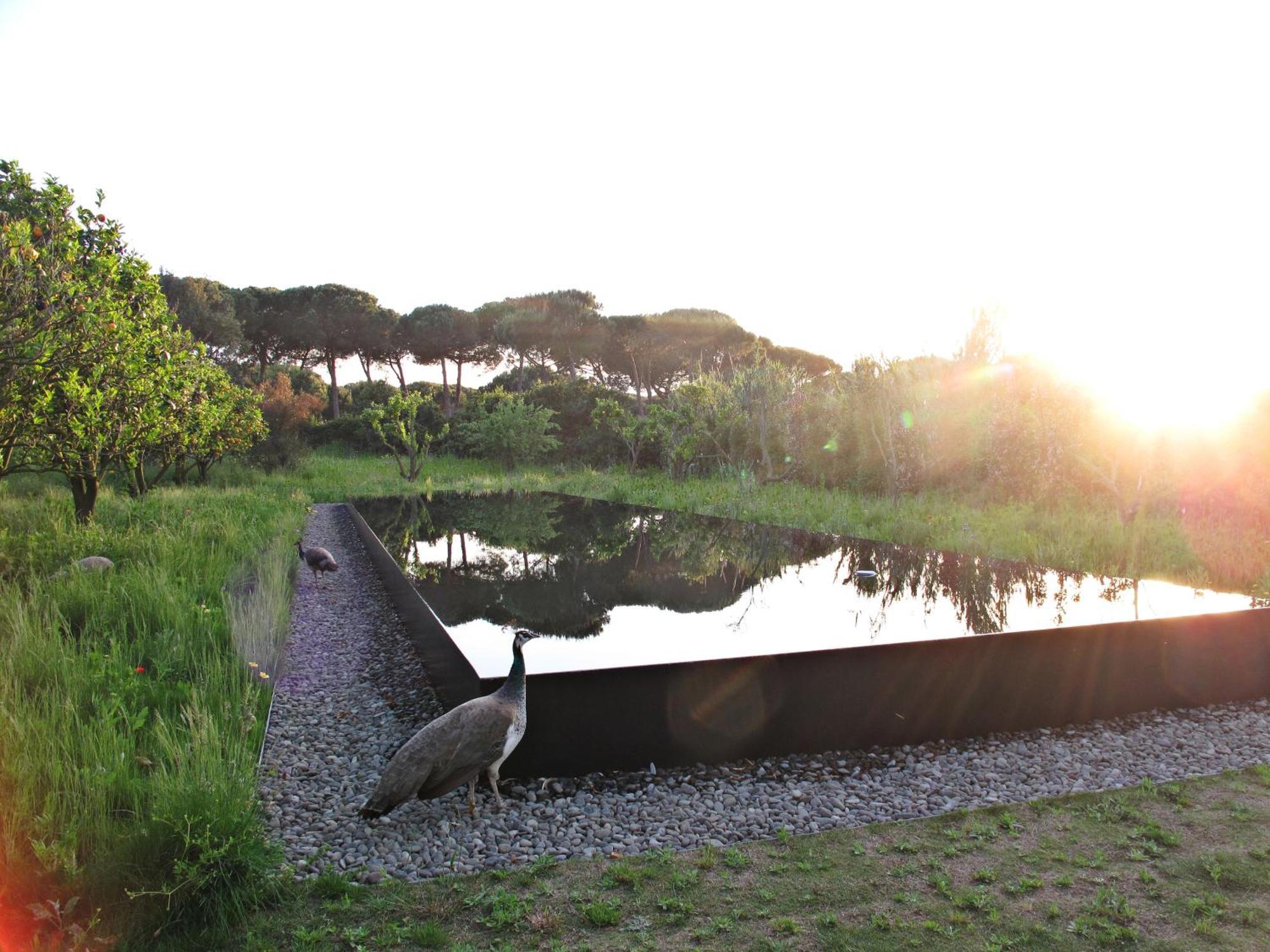アルデイア・ド・メコ Quinta Do Miguelヴィラ エクステリア 写真