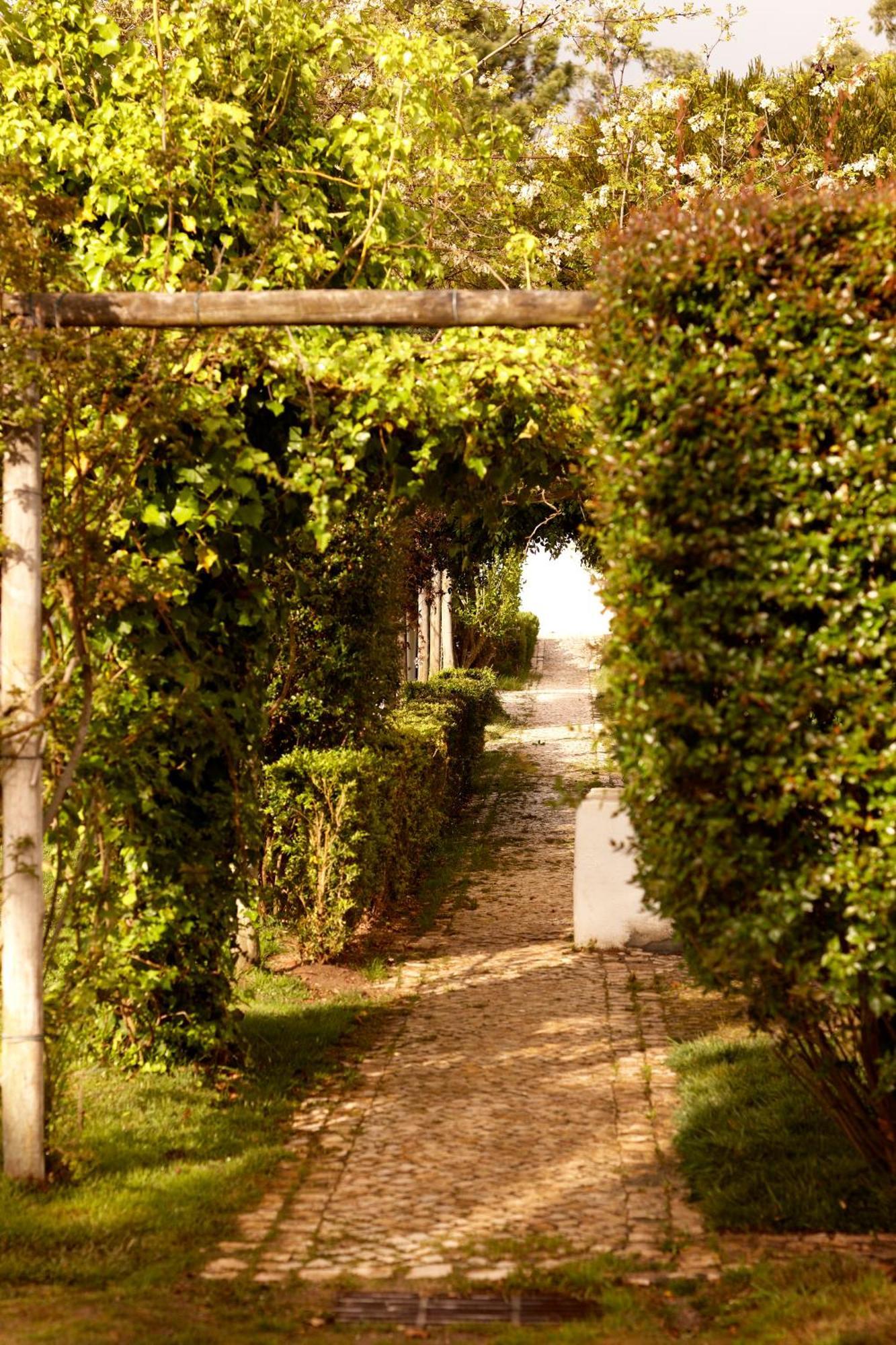 アルデイア・ド・メコ Quinta Do Miguelヴィラ エクステリア 写真