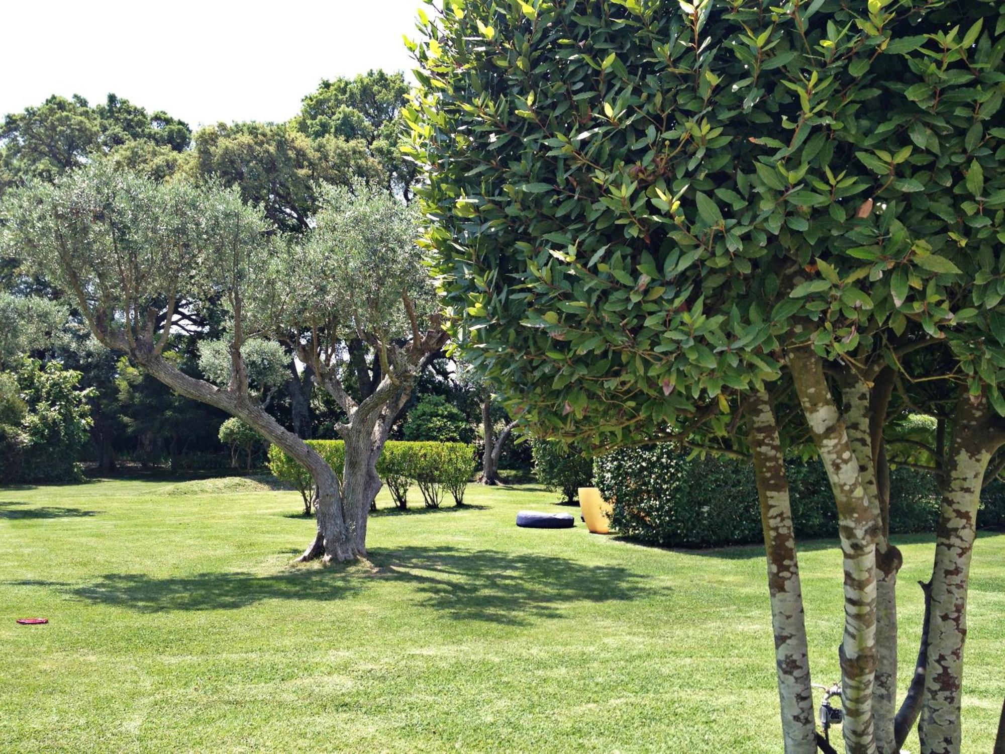 アルデイア・ド・メコ Quinta Do Miguelヴィラ エクステリア 写真