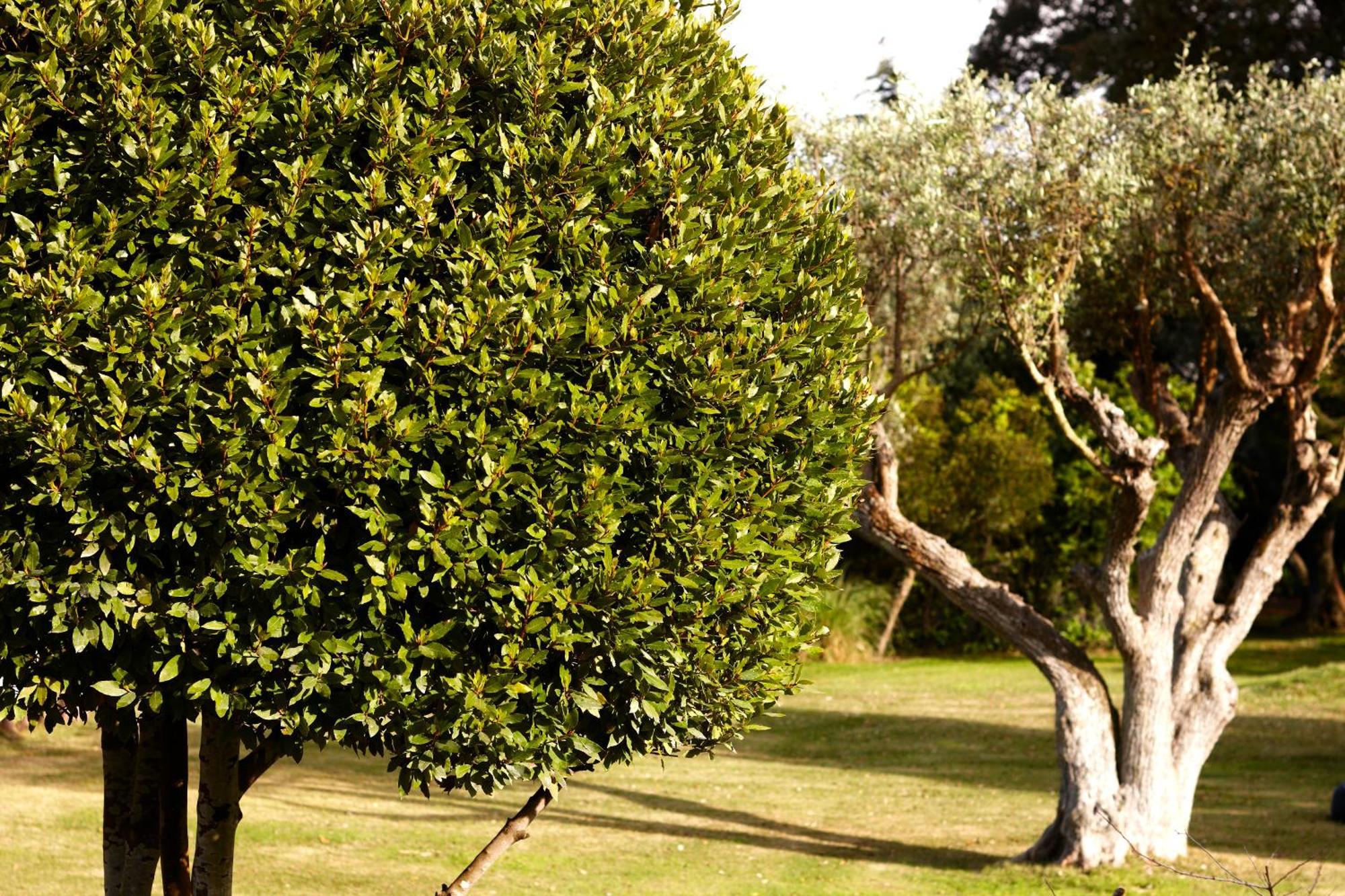 アルデイア・ド・メコ Quinta Do Miguelヴィラ エクステリア 写真