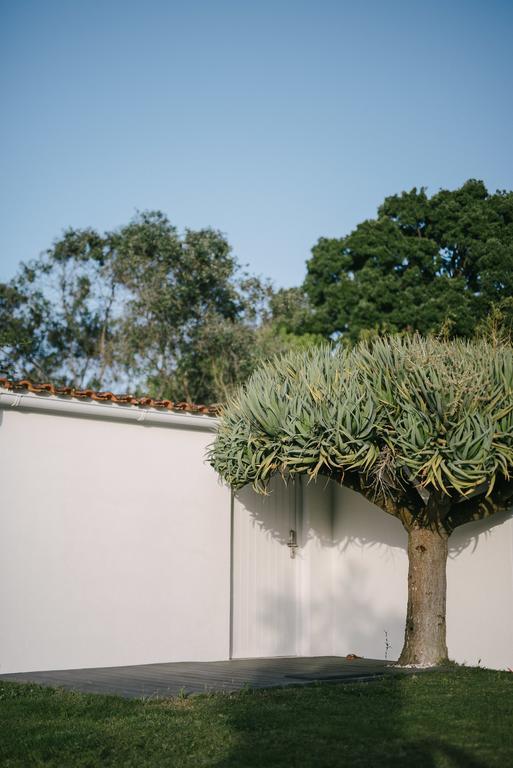 アルデイア・ド・メコ Quinta Do Miguelヴィラ エクステリア 写真