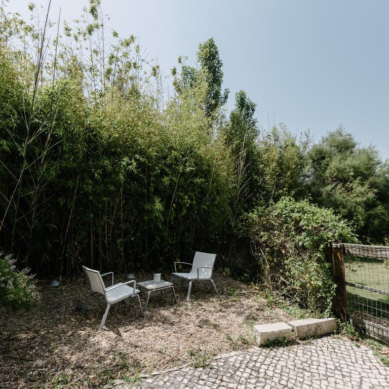 アルデイア・ド・メコ Quinta Do Miguelヴィラ エクステリア 写真