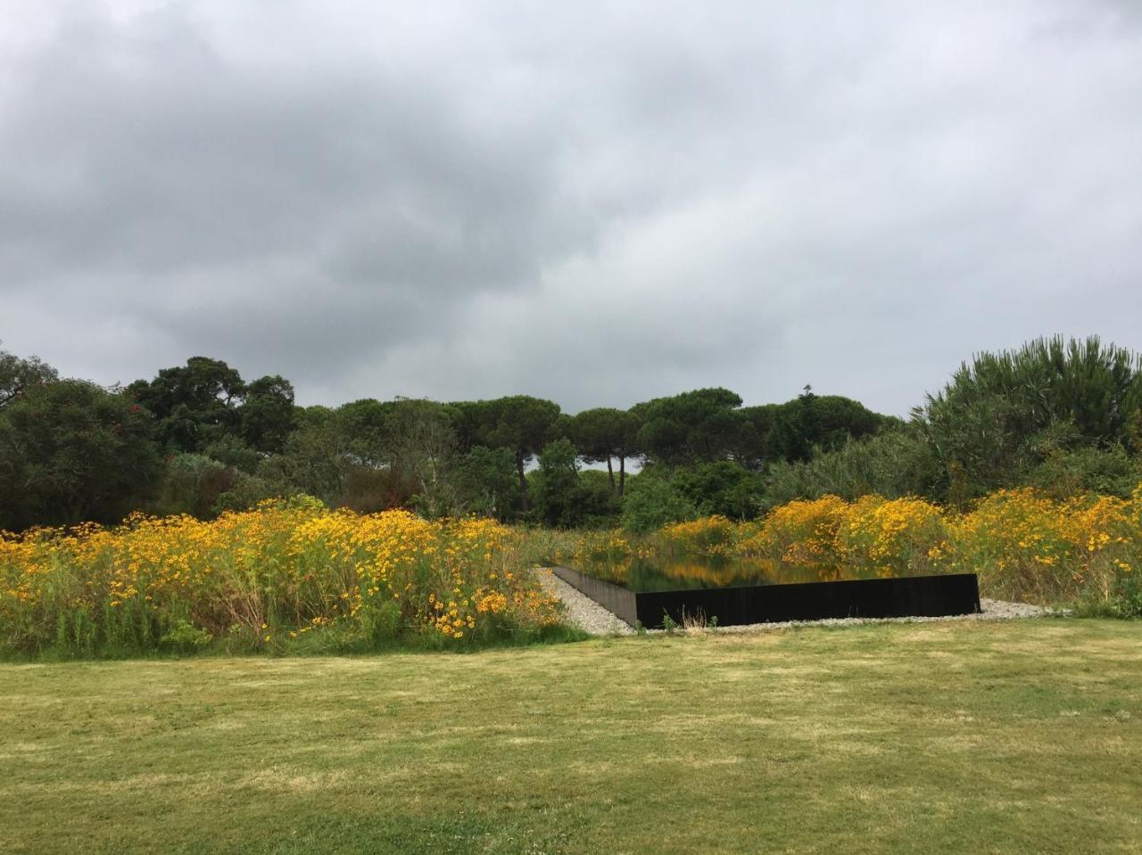 アルデイア・ド・メコ Quinta Do Miguelヴィラ エクステリア 写真